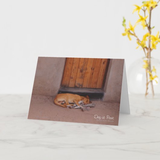 Carte Chien au repos (Fleur jaune)