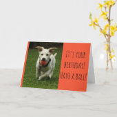 Carte Chien avec Balle (Fleur jaune)