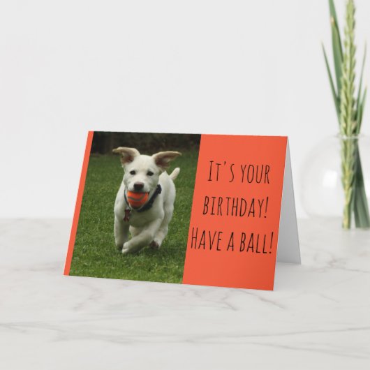 Carte Chien avec Balle (Devant)