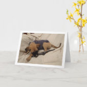 Carte Chien avec collier (Fleur jaune)