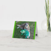 Carte Chien avec grenouilles (Devant)
