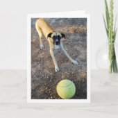 Carte Chien avec grosse balle de tennis (Devant)