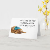 CARTE CHIEN AVEC HANGOVER HUMOUR 50ÈME (Fleur jaune)