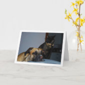Carte Chien avec Portrait de chat (Fleur jaune)