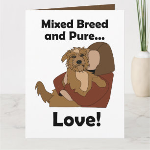 Carte Chien bâtard de race mixte Amour pur Fête d'annive
