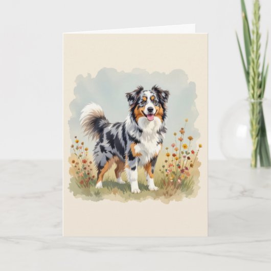 Carte Chien berger australien Merle Long Tail (Devant)