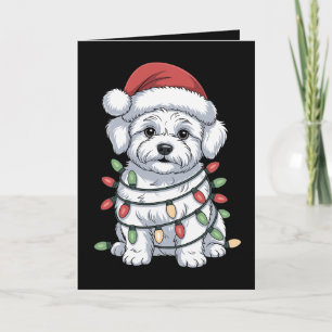 Carte Chien Bichon Frise Noël Chapeau de Père Noël Lumiè