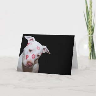 Carte Chien blanc amoureux, Scellé avec baisers en bâton