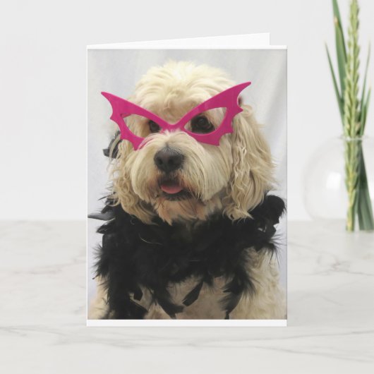 Carte chien blanc, costume, drôle, humour, lunettes sur (Devant)