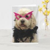 Carte chien blanc, costume, drôle, humour, lunettes sur (Fleur jaune)