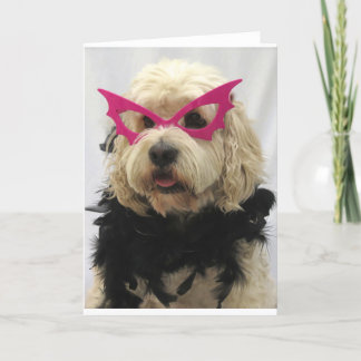 Carte chien blanc, costume, drôle, humour, lunettes sur 