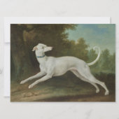 Carte Chien blanc gris (Devant)
