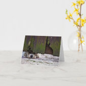 Carte Chien blanc jetant un coup d'oeil sous la barrière (Fleur jaune)