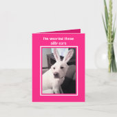 Carte Chien blanc mignon portant des oreilles de lapin d (Devant)