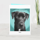 Carte Chien bleu (Dos)