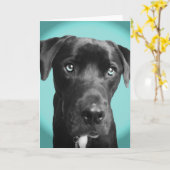 Carte Chien bleu (Fleur jaune)