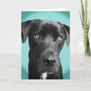 Carte Chien bleu