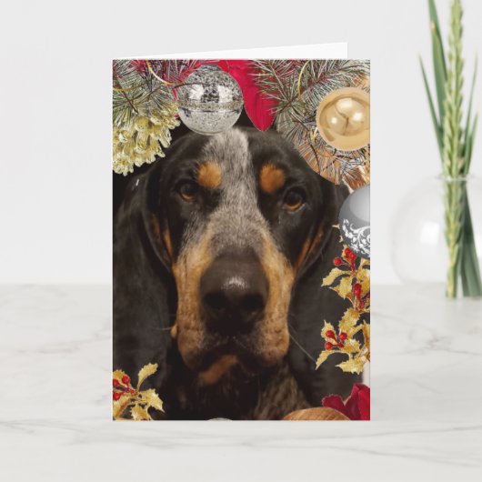 Carte Chien Bluetick Coonhound/ Photo de Noël d'animal d (Devant)