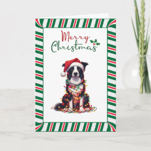 Carte Chien Border Collie enveloppé dans des lumières de