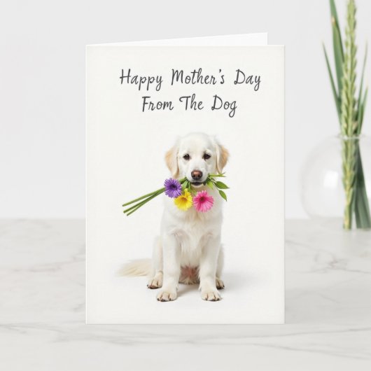 Carte Chien Bouquet Blanc (Devant)