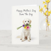 Carte Chien Bouquet Blanc (Fleur jaune)