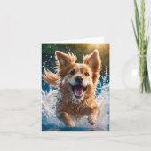 Carte Chien Brun et Blanc Mignon Éclaboussant dans l'Eau (Devant)