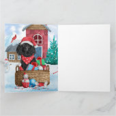 Carte Chien Caniche Dans Maison de Noël enneigée (Intérieur)