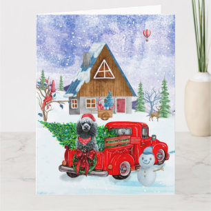 Carte Chien caniche dans un camion de livraison de Noël