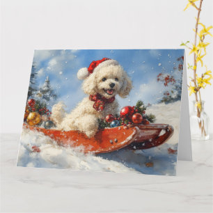 Carte Chien Caniche en Luge Laissez Tomber la Neige Noël
