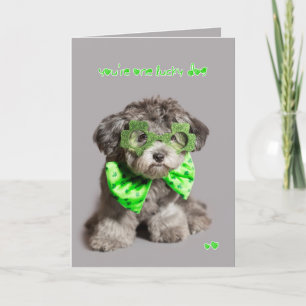 Carte Chien chanceux de Jour de la Saint Patrick
