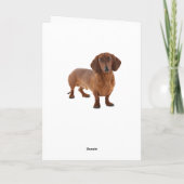 Carte Chien Chien Chien Chien Chien Chien Chien Bl (Dos)