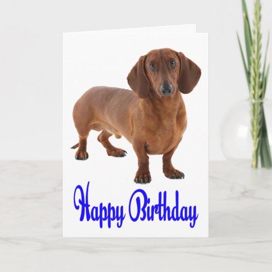 Carte Chien Chien Chien Chien Chien Chien Chien Bl (Devant)