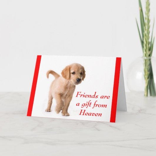 Carte Chien Chien Chien Chien Chien d'Amitié (Devant)