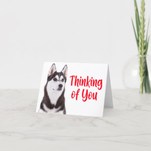 Carte Chien Chien Chien Chien Sibérien Husky Penser à vo