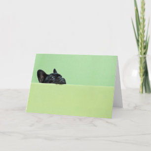 Carte Chien-chien français qui regarde au-dessus du mur