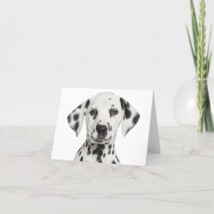 Carte Chien Chiot Dalmatien, Bonjour, Merci, Amour, Déso
