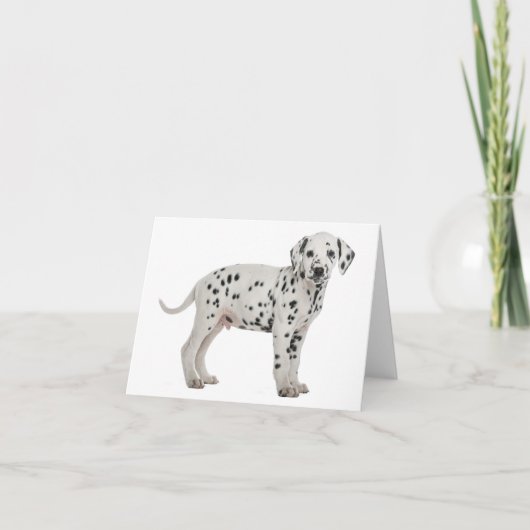Carte Chien Chiot Dalmatien Bonjour Merci Amour, Désolé (Devant)