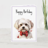 Carte Chien chiot maltais Anniversaire (Devant)