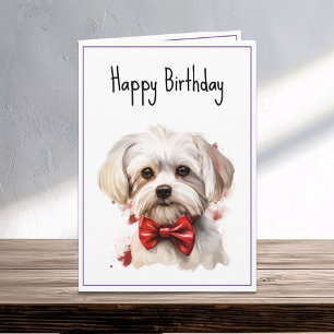 Carte Chien chiot maltais Anniversaire