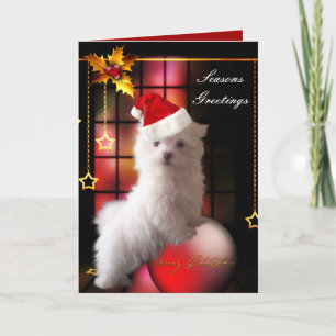 Carte Chien chiot maltais blanc de Noël