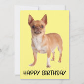 Carte Chien chiot mignon Jaune Funny Chihuahua Anniversa (Devant)