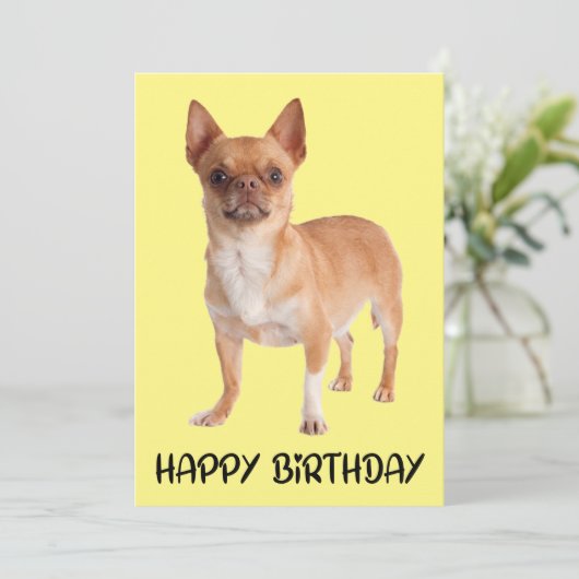 Carte Chien chiot mignon Jaune Funny Chihuahua Anniversa (Debout devant)