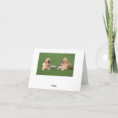 Carte Chien Chiot Retriever Doré Blank (Dos)