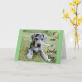 CARTE **CHIEN CHOSE CHALEUREUX CHANCE MOI** VOUS DANS MA (Fleur jaune)