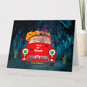 Carte Chien Chow Chow Conduisant une Voiture Effrayante