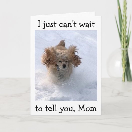 CARTE **CHIEN COMÉDIQUE DE LA NEIGE** POUR L'ANNIVERSAIR (Devant)