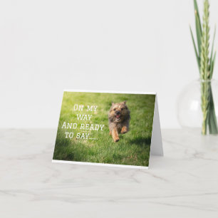 CARTE *CHIEN COMÉDIQUE * DIT HEUREUX *ANNIVERSAIRE*