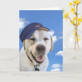 Carte Chien d'anniversaire avec Casquette (Fleur jaune)