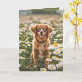 Carte Chien D'Anniversaire Avec Lunettes De Soleil Dans (Fleur jaune)
