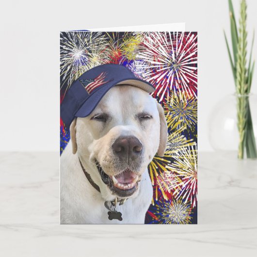Carte Chien d'anniversaire patriotique et feux d'artific (Devant)